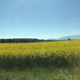 The Swiss/French landscape outside of CERN (Ryan F. Mandelbaum)